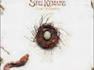The Serpent by Still Remains (Vinyl, Sep-2007, Roadrunner Records)