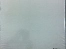 The Beatles(White Album) 180 gramm double LP-MONO-NEW SEALED.Numbered.# 9010726.