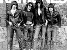 Ramones - Ramones - 40th Anniversary Deluxe Edition Vinyl LP + 3CD NEU 0553950