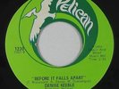 Crossover Soul/Funk 45 - Denise Keeble - Before It Falls Apart - Pelican VG+ mp3