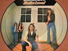STATUS QUO ON THE LEVEL LP PICTURE DISC RARE PIC DISK VINYL VERTIGO UK