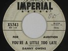 Northern Soul R&B 45 - Danny Owens - You're A Little Too Late - Imperial - mp3