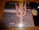 INDIAN SUMMER ..RARE UK IST ISSUE, RCA NEON LABEL No NE 3