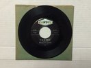 The Beach Boys Surfin Luau Candix 301 Not On Era Surf Brian Wilson 45 RPM 7