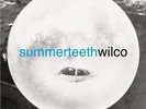 Summerteeth by Wilco (Vinyl, Aug-2009, Warner Bros.)