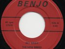 THE NEW BREED my baby*she's fallen for you 1966 US BENJO GARAGE 45 LISTEN TO IT