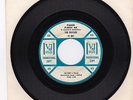 THE BEATLES  Please, Please Me  VJ 581 White Label PROMO 45 rpm