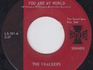 The Trackers 45 You Are My World/Why Do I Cry LANDA TX garage LISTEN EX