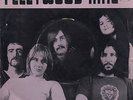 FLEETWOOD MAC-THE GREEN MANALISHI-RARE ORIGINAL INDIAN UNIQUE PS 7