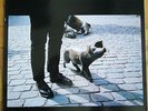EA80 - Schweinegott LP * rare PRIVATE Pressing * Germany 1998 * Deutschpunk OI