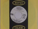 LOOKING GLASS: Brandy (You’re A Fine Girl) EPIC USA DJ PROMO Mono Stereo 45 NM-