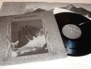PAYSAGE D`HIVER / LUNAR AURORA - Split LP Darkspace,Nordlicht,Coldworld,Borgne