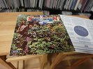 Savoy Brown ?– A Step Further LP UK DECCA PRESS TOP BLUES ROCK
