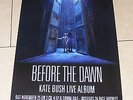 Kate Bush Memorabilia Official Fish People Before The Dawn Album Promo Poster