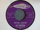 GROUP SOUL 45 The Whispers Never Again Dore 729 EX HEAR IT