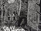GRAY MATTER-FOOD FOR THOUGHT  VINYL LP NEW