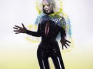 Björk Vulnicura Vinyl NEW