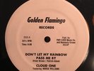 DON’T LET MY RAINBOW PASS ME BY Cloud One GOLDEN FLAMINGO disco boogie 12” OG 
