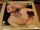 EDGAR WINTER GROUP THEY ONLY COME OUT AT NIGHT LP QUADRAPHONIC EPIC EQ 31584 VG+
