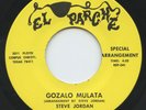 Hear- Rare Latin Soul 45- Steve Y Rio Jordan- Gozalo Mulata- El Parche # 041- M-