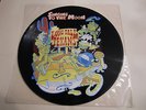 Long Tall Texans , Singing To The Moon . Rare  Vinyl  Picture Disc