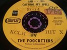 Solid Colorado Garage Punk Shaker 45 The Fogcutters Casting my Spell HEAR