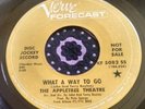 Trippy East Coast Psych Promo 45 The Appletree Theatre What a What to Go EX HEAR