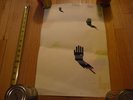 ANDREW KUO silkscreened poster - Black Dice /  Erase Errata 2002 NYC Supreme