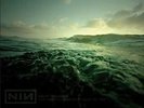 Nine Inch Nails - Wild In Woodstock 2 x LP - SEALED - New Copy - NIN