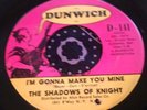 Tough Chicago Mod Garage Punk 45 Shadows of Knight I'm Gonna Make You Mine HEAR