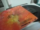 MOTHERHOOD SAME LP IN 1972 DOLDINGER KRAUTROCK