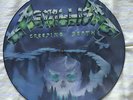 Metallica Vinyl Picture Disk, Creeping Death, 80er, rar