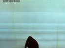 FOALS   WHAT WENT DOWN   VINYL LP   *NEW/SEALED