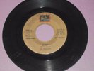 NODAENS Beach Girl US Gold 45 Brian Wilson production Beach Boys