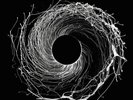 Dawn Of Midi ?– Dysnomia SEALED Erased Tapes 2xLP CLEAR VINYL EXPERIMENTAL