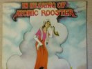 Atomic Rooster LP.  In hearing of .Pegasus label. 1971