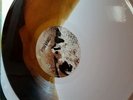 Converge Jane Doe LP White Brown FIRST PRESS Vinyl Gatefold Equal Vision Record