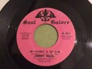 Jimmy Mack My World Is on Fire/Go On Soul Galore Label
