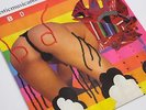 BLACK DICE BROKEN EAR RECORD LP 2005 ORIGINAL INDIE CHEESECAKE SEXY NUDE EX+