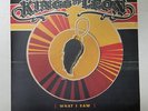 Kings of Leon What I Saw RARE 10