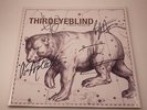 SIGNED, AUTOGRAPHED - Ursa Major * [LP] by Third Eye Blind.  Vinyl record