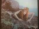 Bryan Ferry Signed Roxy Music Siren VInyl LP COA