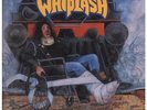 WHIPLASH Insult To Injury LP VINYL 11 Track With Inner Sleeve Has Creasing In