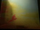 The Flaming Lips - The Terror New And Sealed vinyl. 2 Records And 1 CD