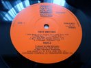TRIFLE ‘FIRST MEETING’ A FIRST ISSUE A-1/B-1  RARE 1971 UK DAWN RECORDS VINYL LP