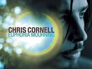 Chris Cornell - Euphoria Mourning, New,Sealed,180g,Record,Vinyl,LP,Rock
