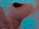 PINK FLOYD-MEDDLE (GATE) (OGV)  VINYL LP NEW