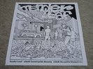 TENDER LEAF / COUNTRYSIDE BEAUTY / RARE HAWAII AOR SOUL FUNK JAPAN 7’