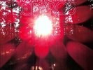 Empros - Russian Circles (2011, Vinyl NUEVO)