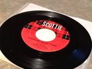 The Shades. Strollin After Dark/Splashin  Garage Surf 45. Ex